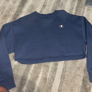 Cropped champion hoodie